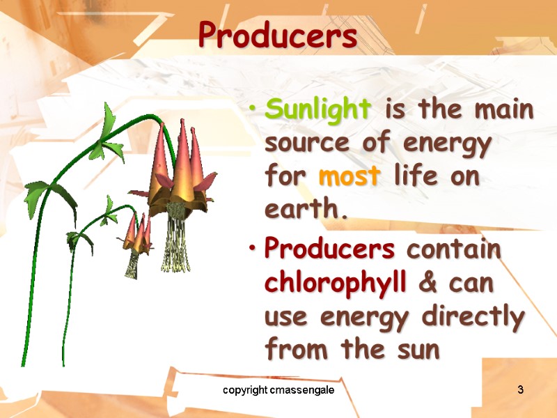 3 Producers Sunlight is the main source of energy for most life on earth.